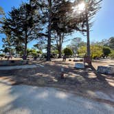 Review photo of Morro Bay State Park Campground by Kelly H., November 2, 2022