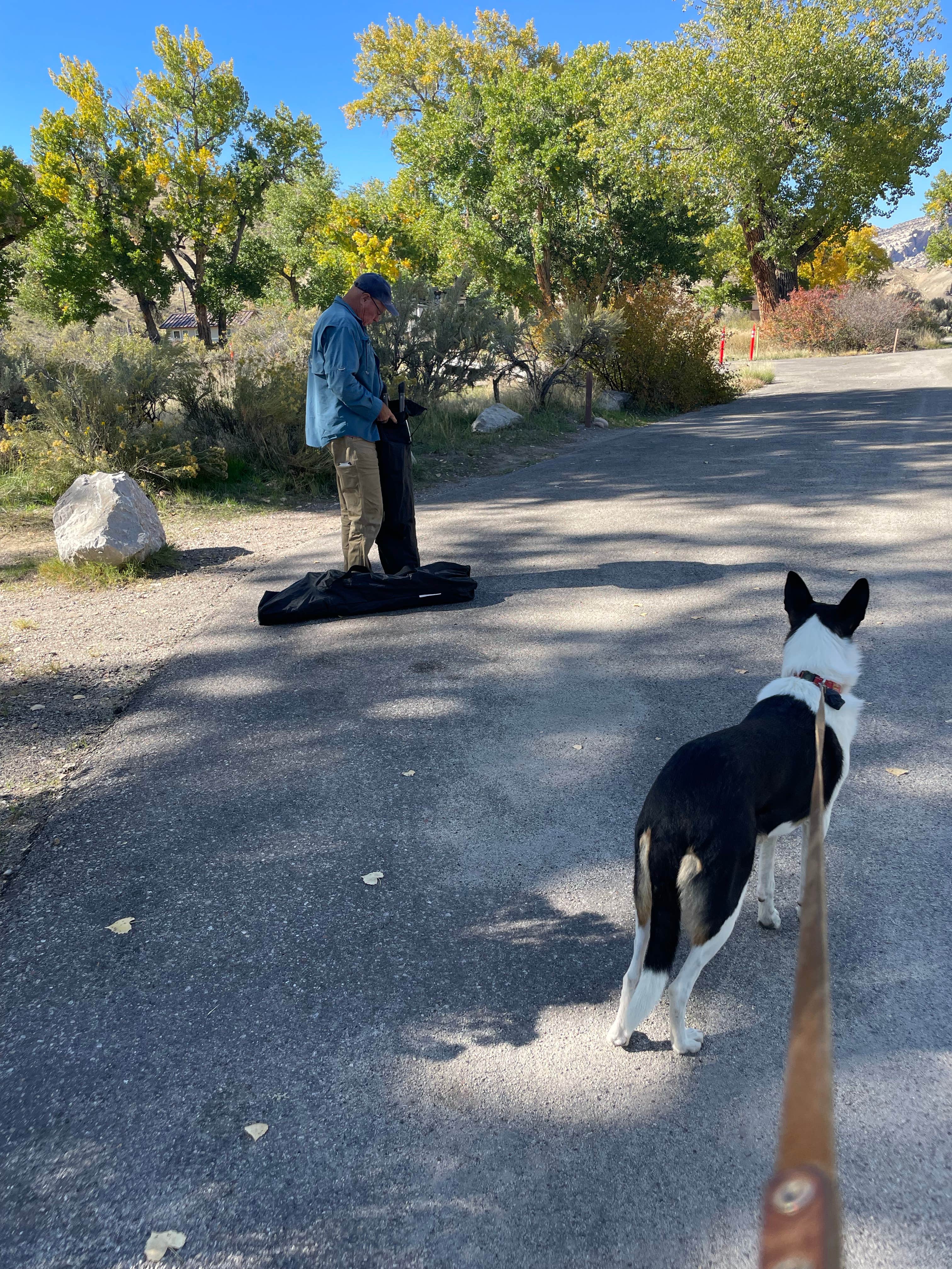 Kelly H.'s photo of camping with pets at Green River Campground — Dinosaur National Monument near Rangely, CO