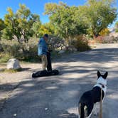 Review photo of Green River Campground — Dinosaur National Monument by Kelly H., November 2, 2022