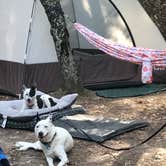 Review photo of Petit Jean State Park — Petit Jean State Park by Sondra M., September 13, 2018