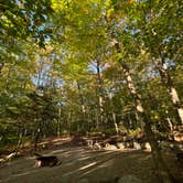 Review photo of Smugglers Notch State Park Campground by Janet B., November 3, 2022