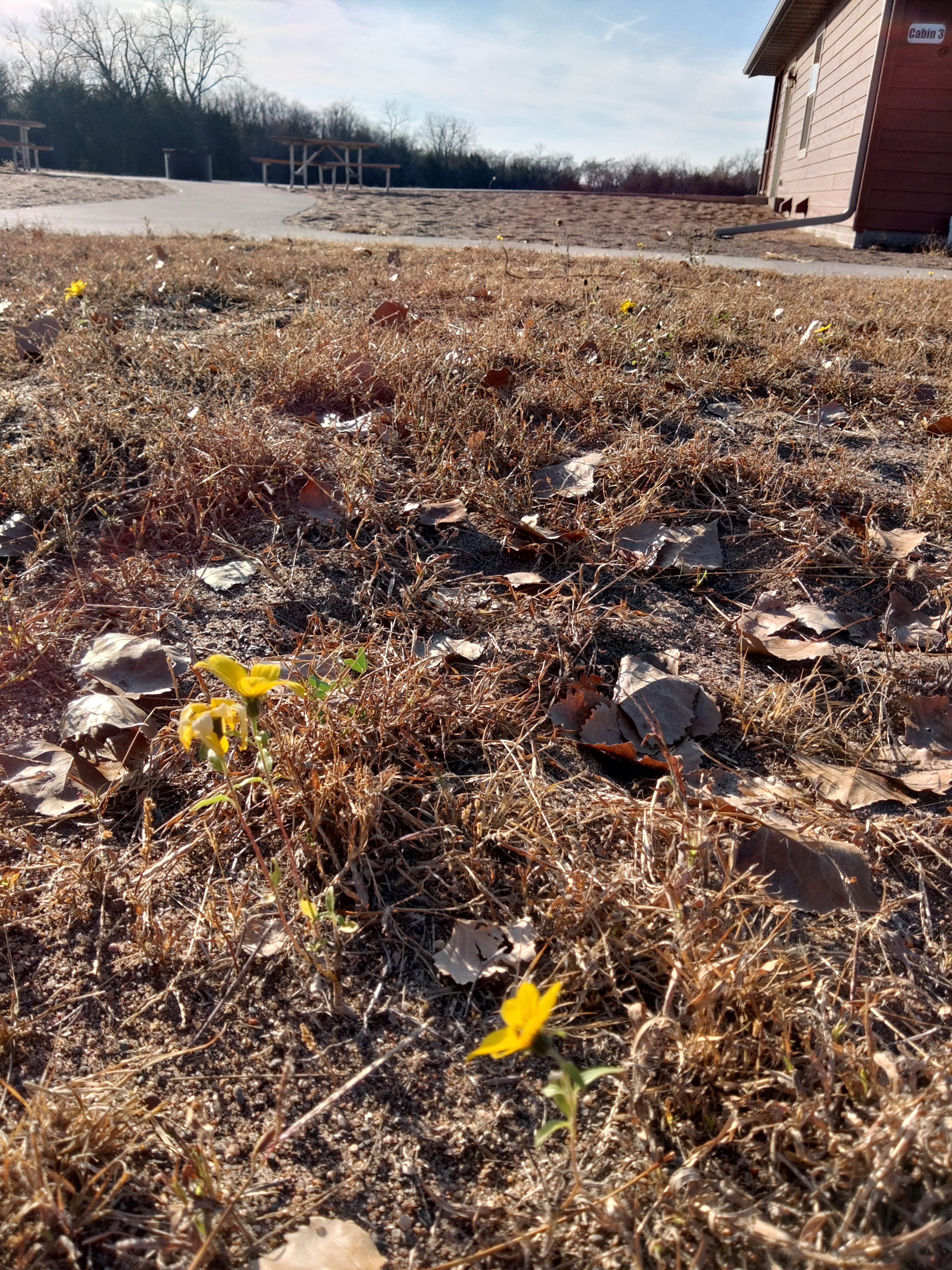 Camping near Saulsbury Bridge Recreation Area - Main Camping: Deep Lakes Park Cabins, Fruitland, Iowa