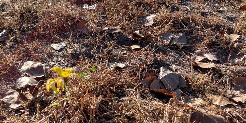 Camper submitted image from Deep Lakes Park Cabins