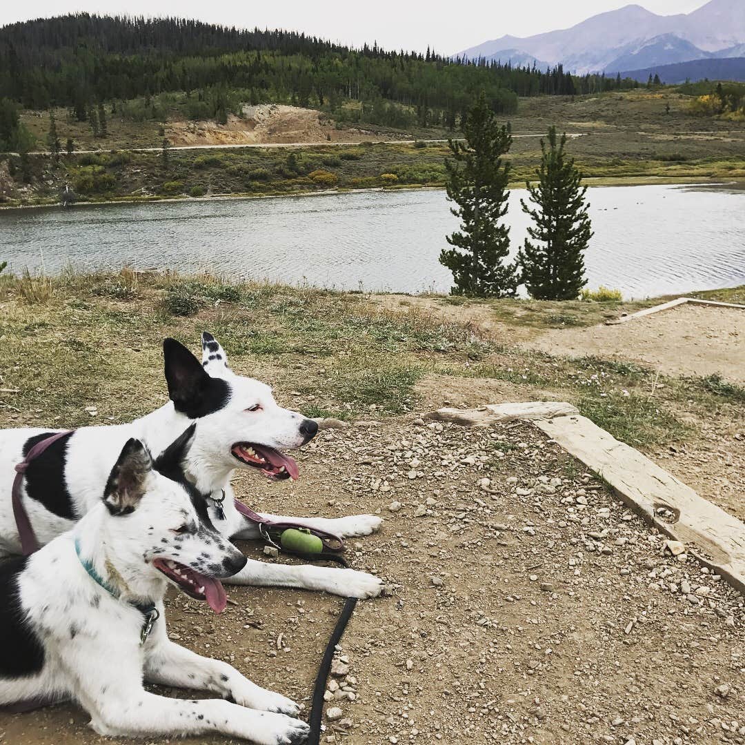 Sondra M.'s photo of camping with pets at North Michigan Campground — State Forest State Park near Cowdrey, CO