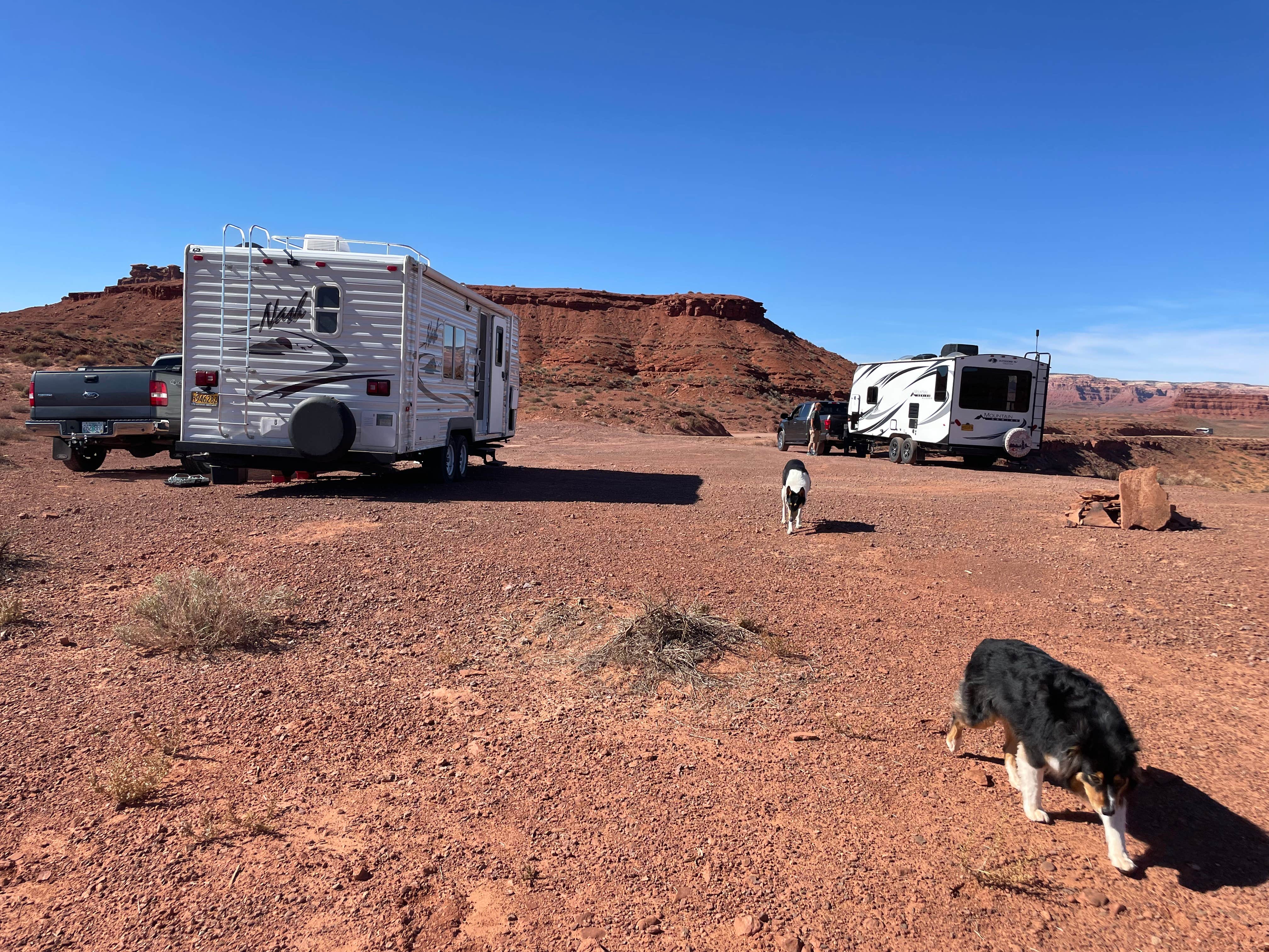 Kelly H.'s photo of camping with pets at Valley of the Gods Dispersed Camping near Kayenta, AZ