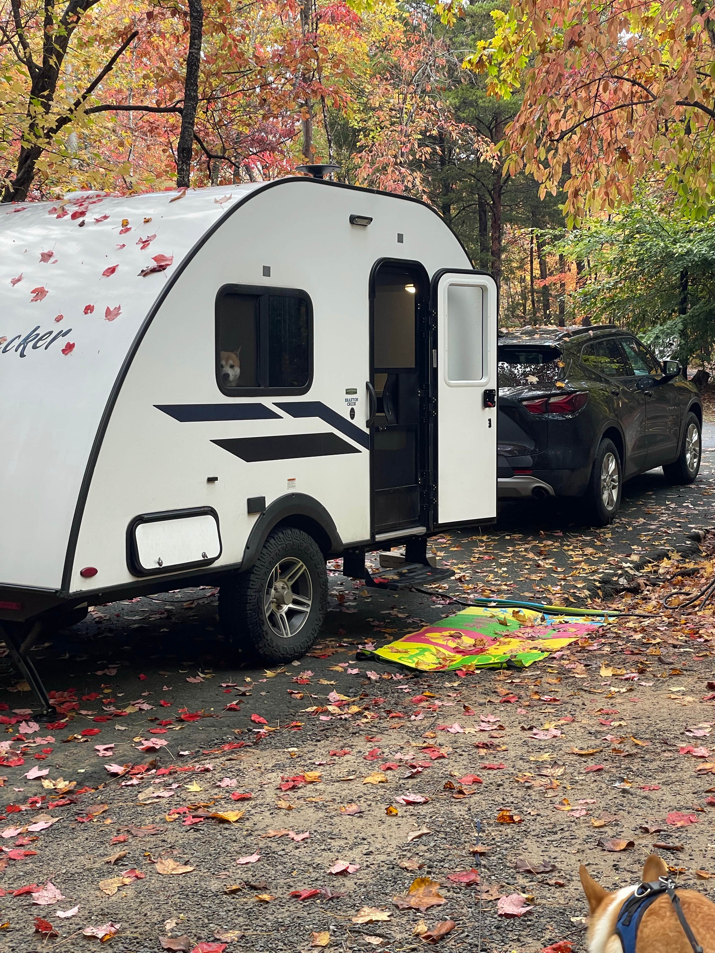 Samantha's photo of rv camping at McDowell Nature Preserve near York, SC
