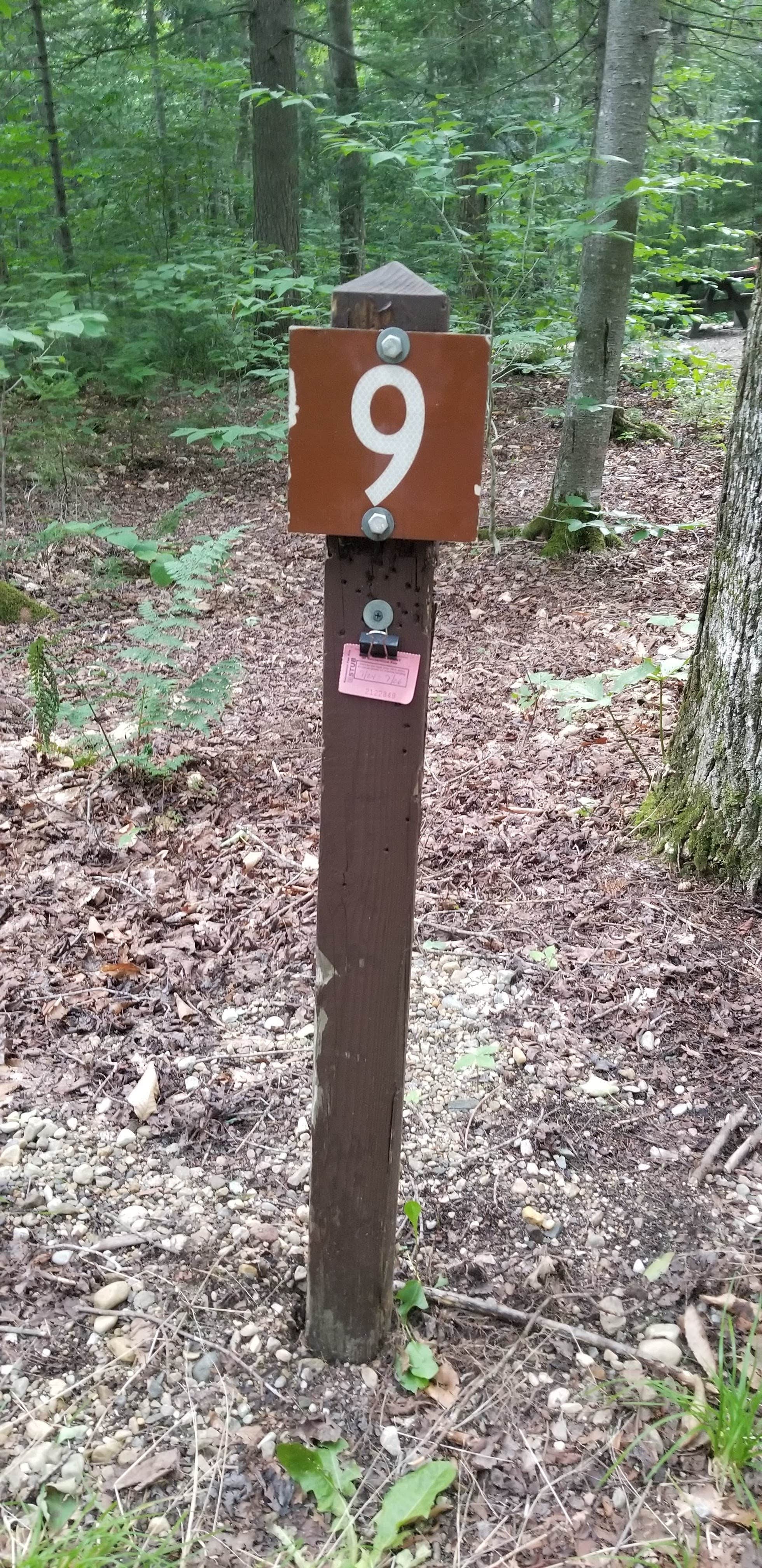 Camper submitted image from Greendale Campground - 5