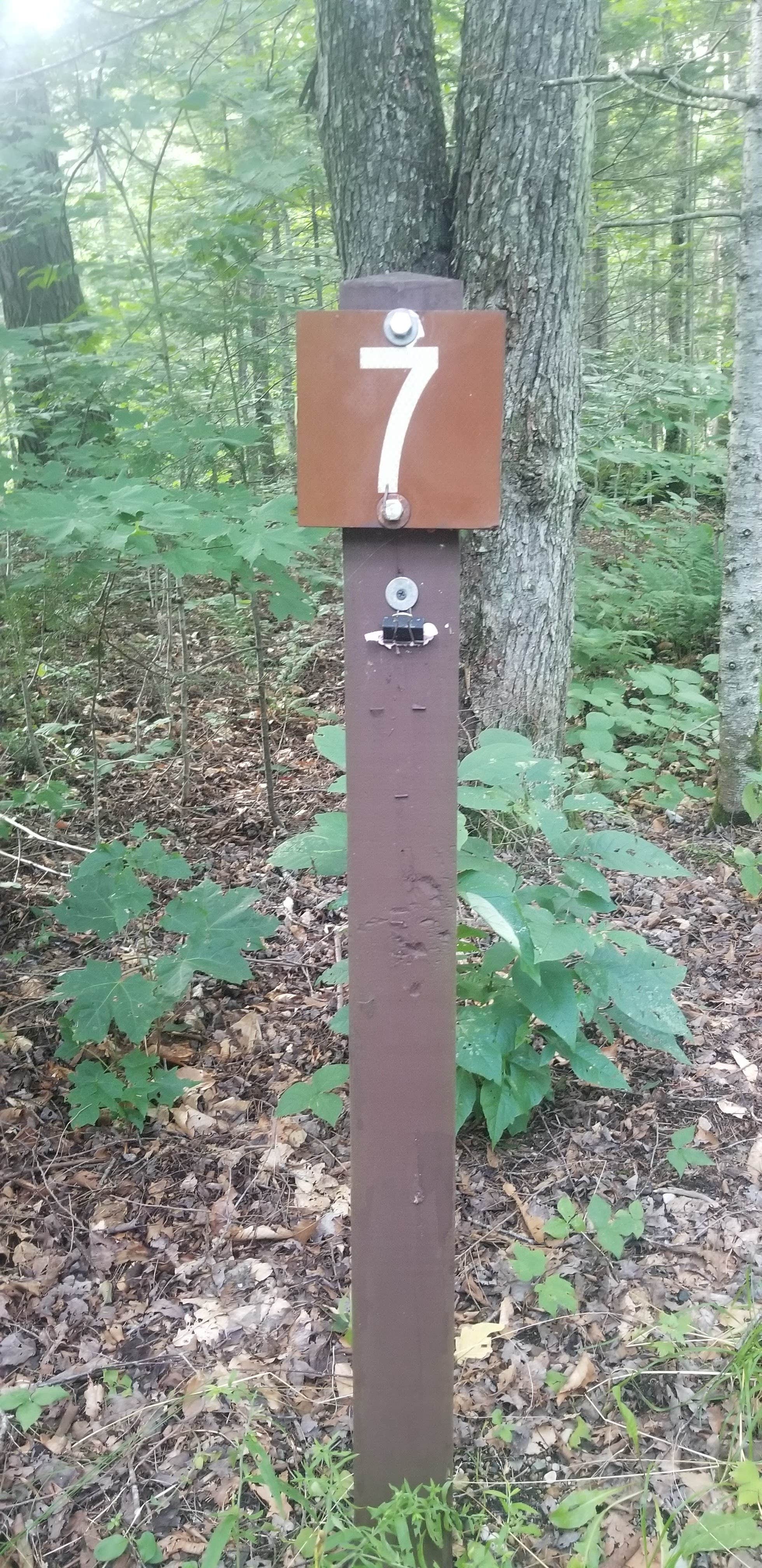 Camper-submitted photo at Greendale Campground near Weston, VT