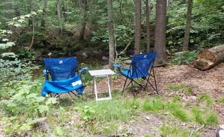 M.A.D. P.'s photo at Greendale Campground near Peru, VT