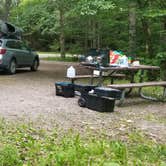 Review photo of Greendale Campground by M.A.D. P., November 3, 2022