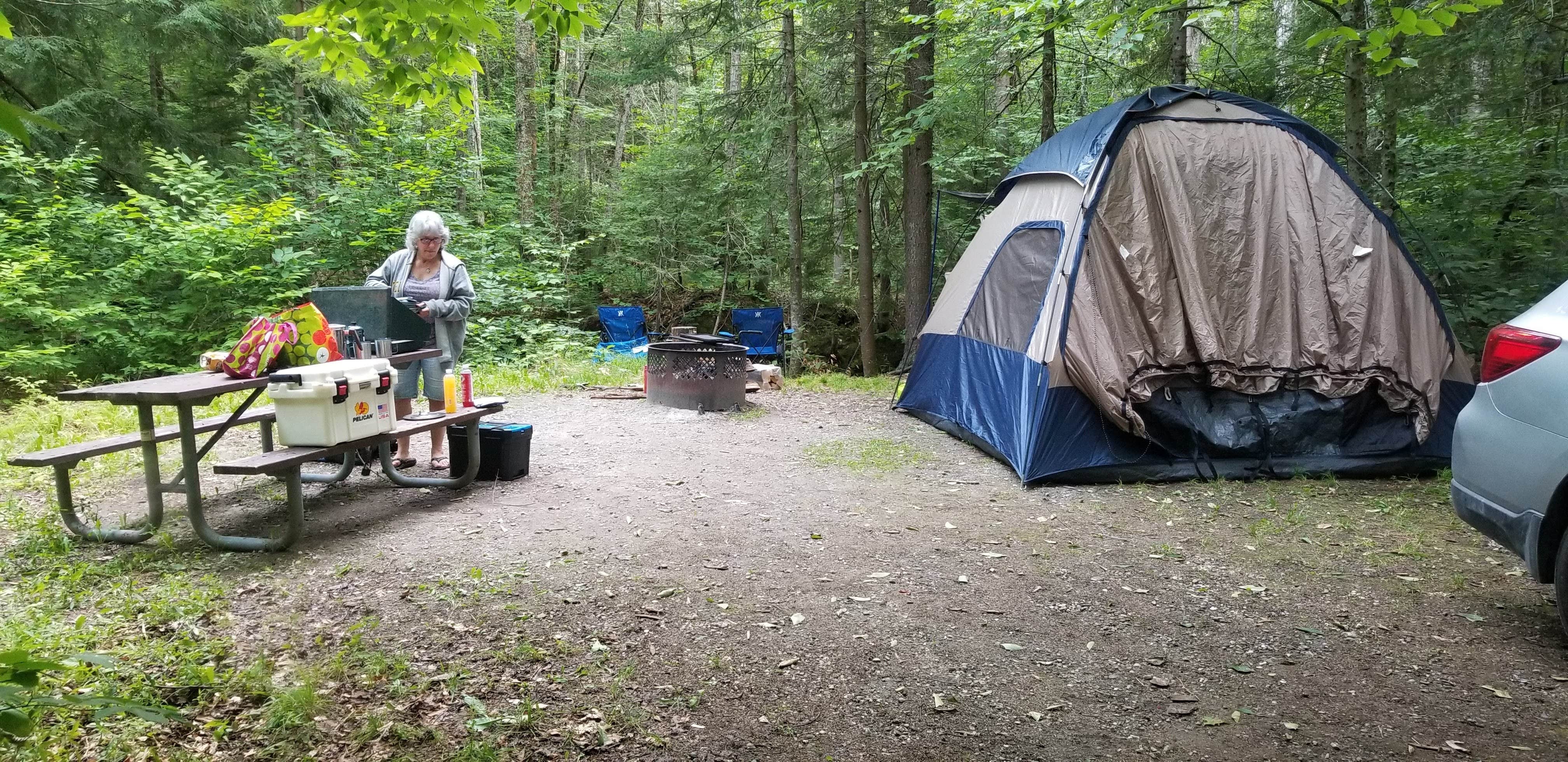 Camper-submitted photo at Greendale Campground near Weston, VT