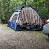 Review photo of Greendale Campground by M.A.D. P., November 3, 2022