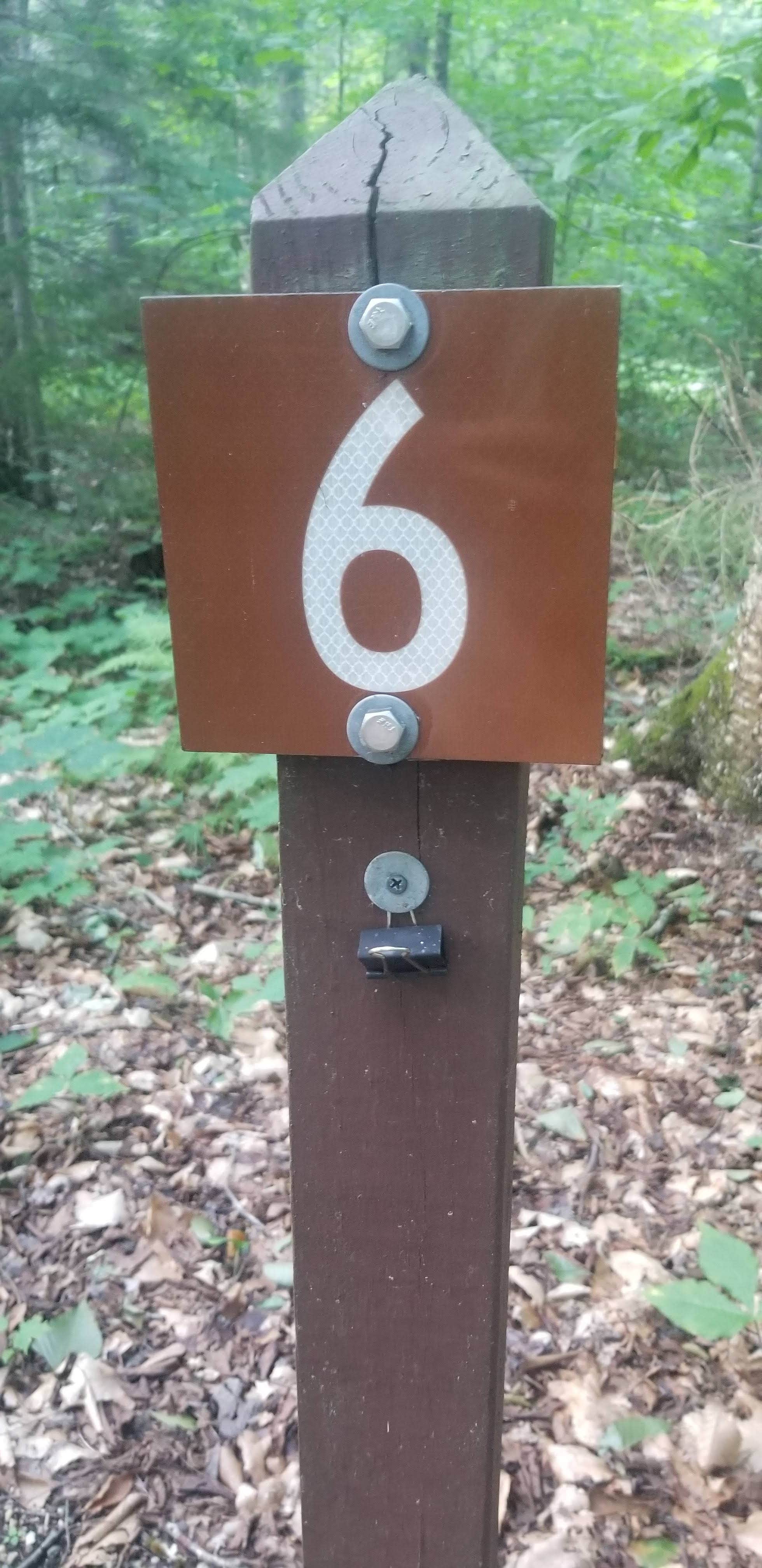 Camper-submitted photo at Greendale Campground near Weston, VT