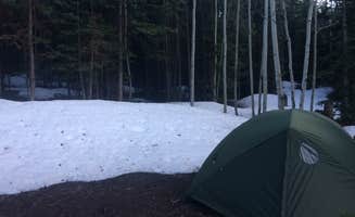 Anthony P.'s photo of tent camping at Bear River Designated Dispersed near Yampa, CO