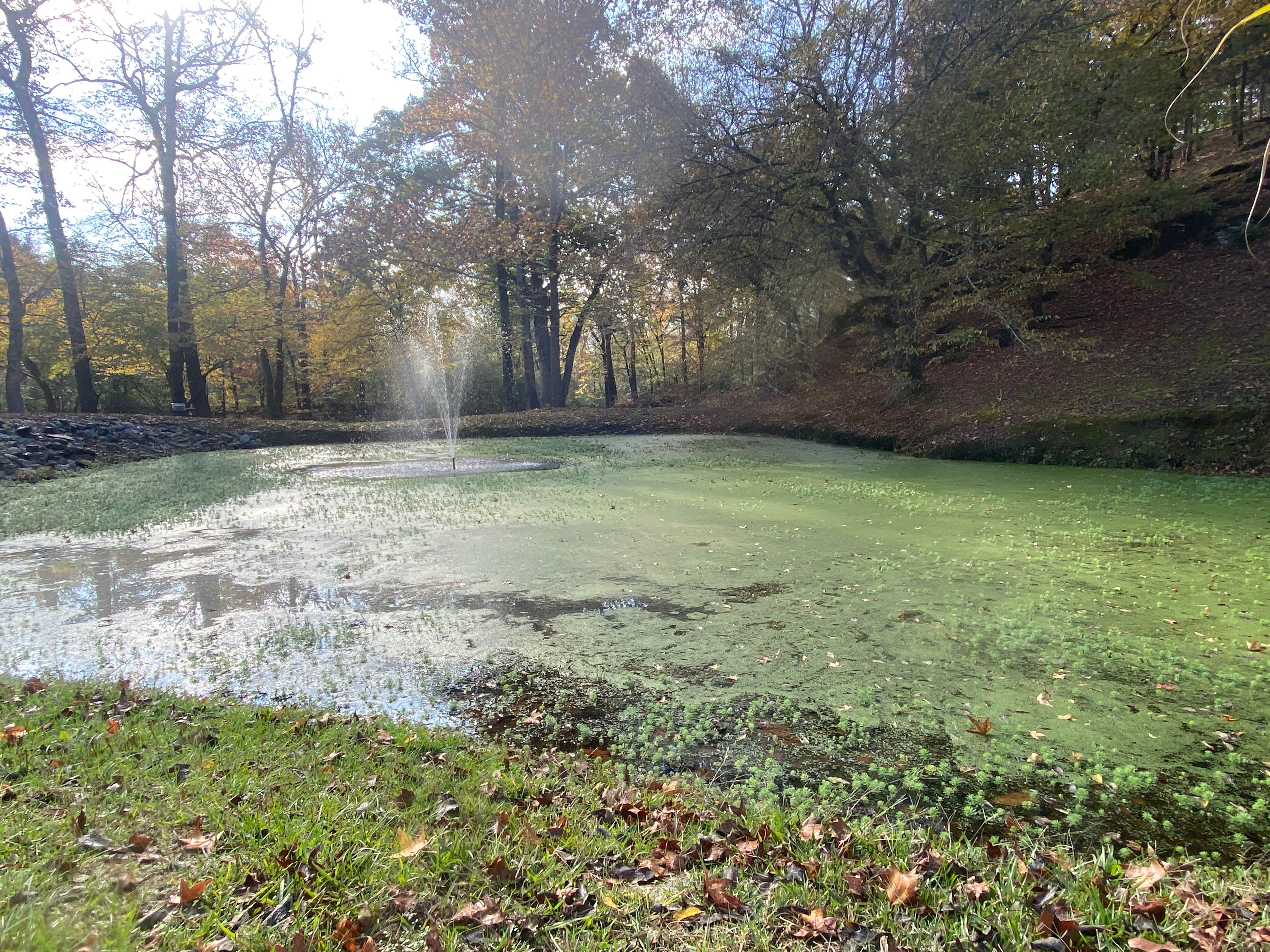 Camper-submitted photo at J and J RV Park near Malvern, AR