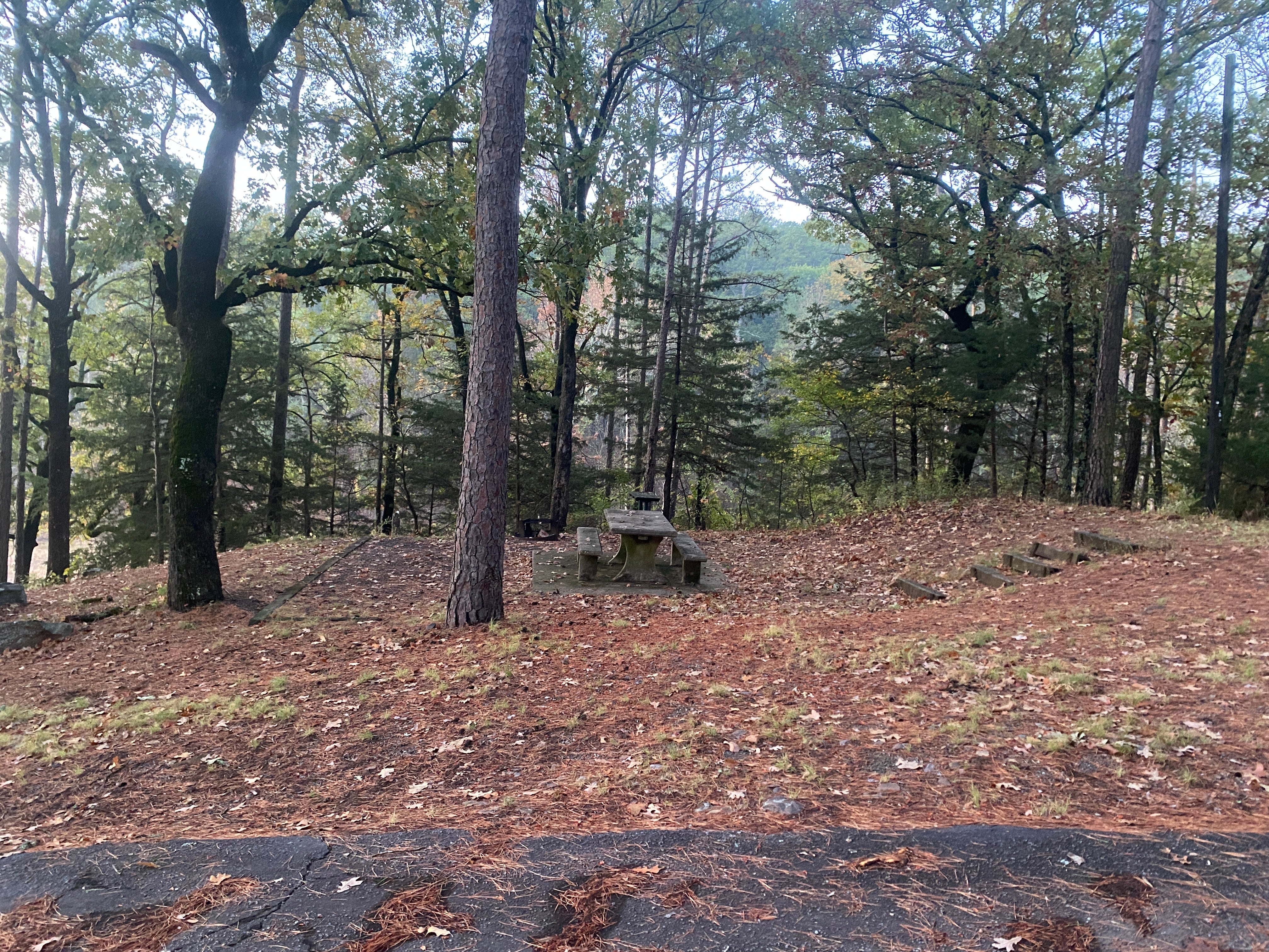 Camper submitted image from Ashley Creek Recreation Area - 3