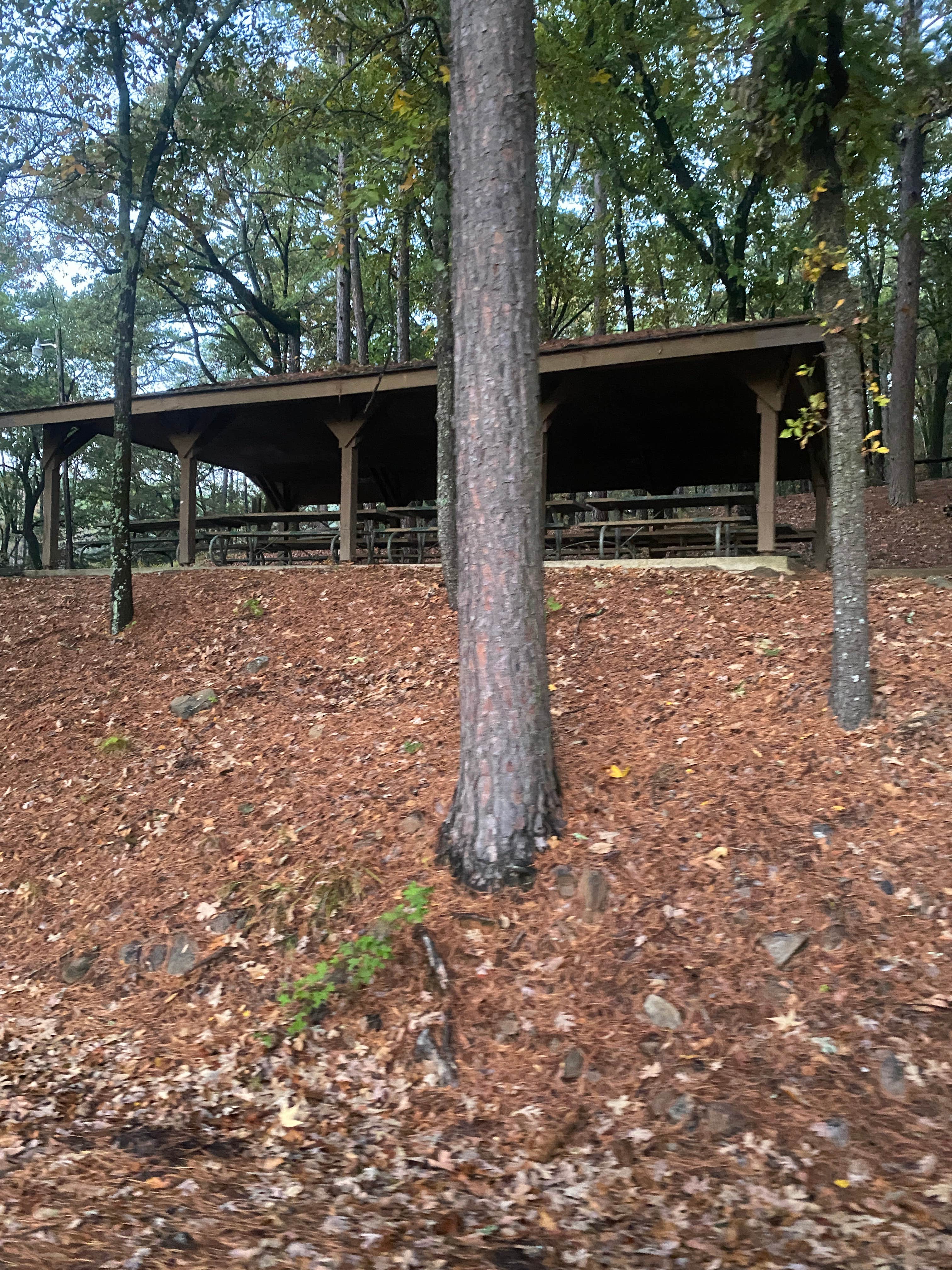 Camper-submitted photo at Ashley Creek Recreation Area near Blue Mountain, AR