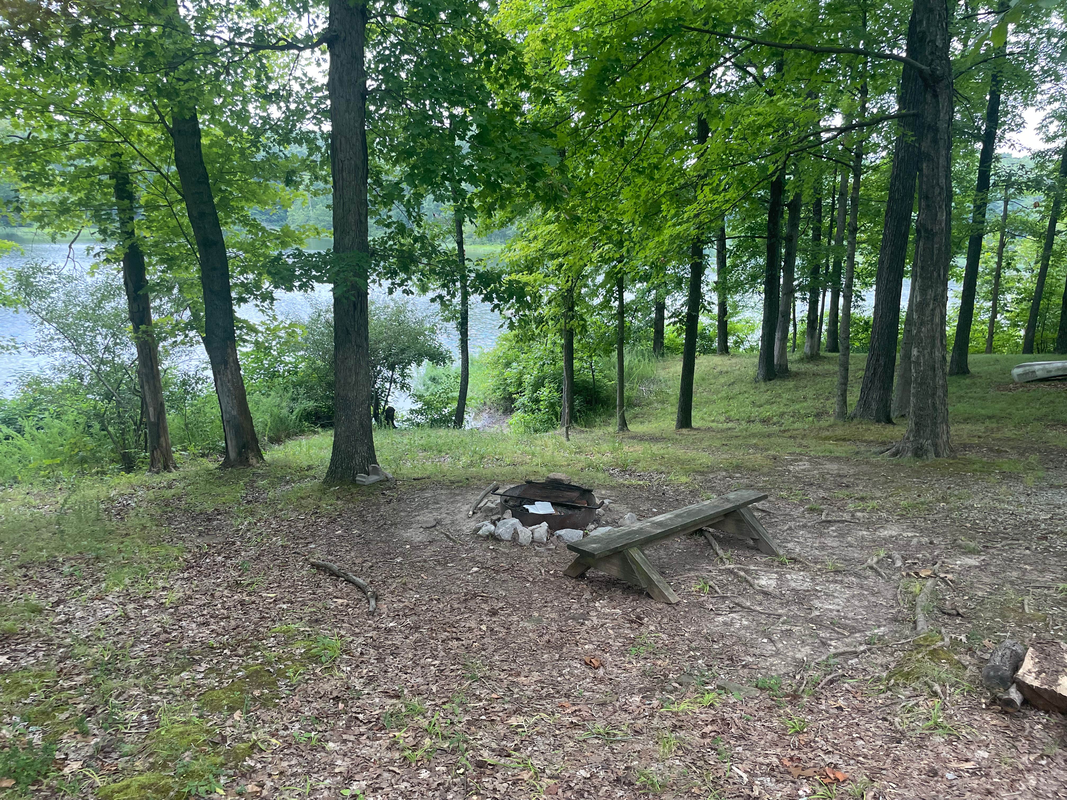 Camper submitted image from Little Grassy Lake Campground - 3