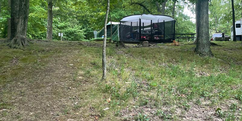 Camper submitted image from Little Grassy Lake Campground