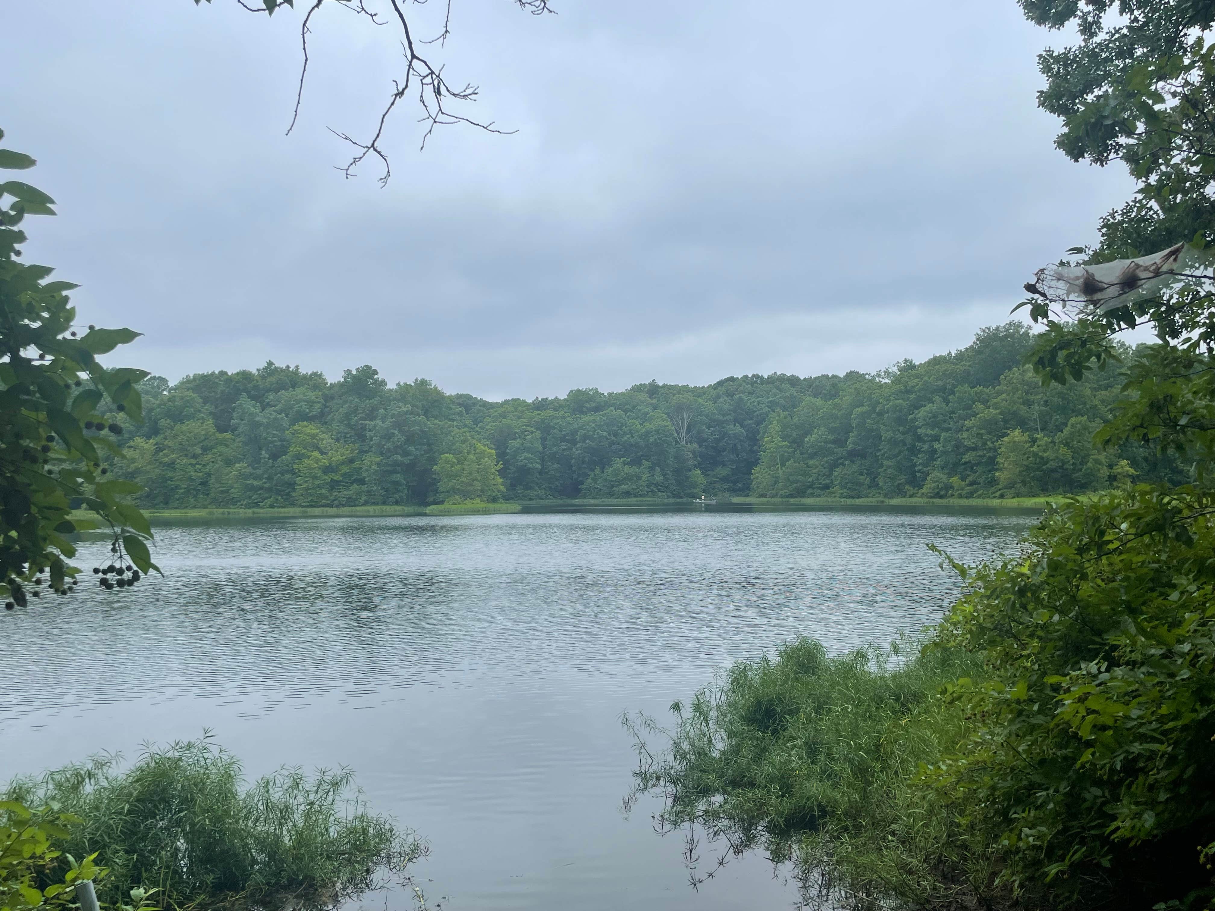 Camper-submitted photo at Little Grassy Lake Campground near Jonesboro, IL