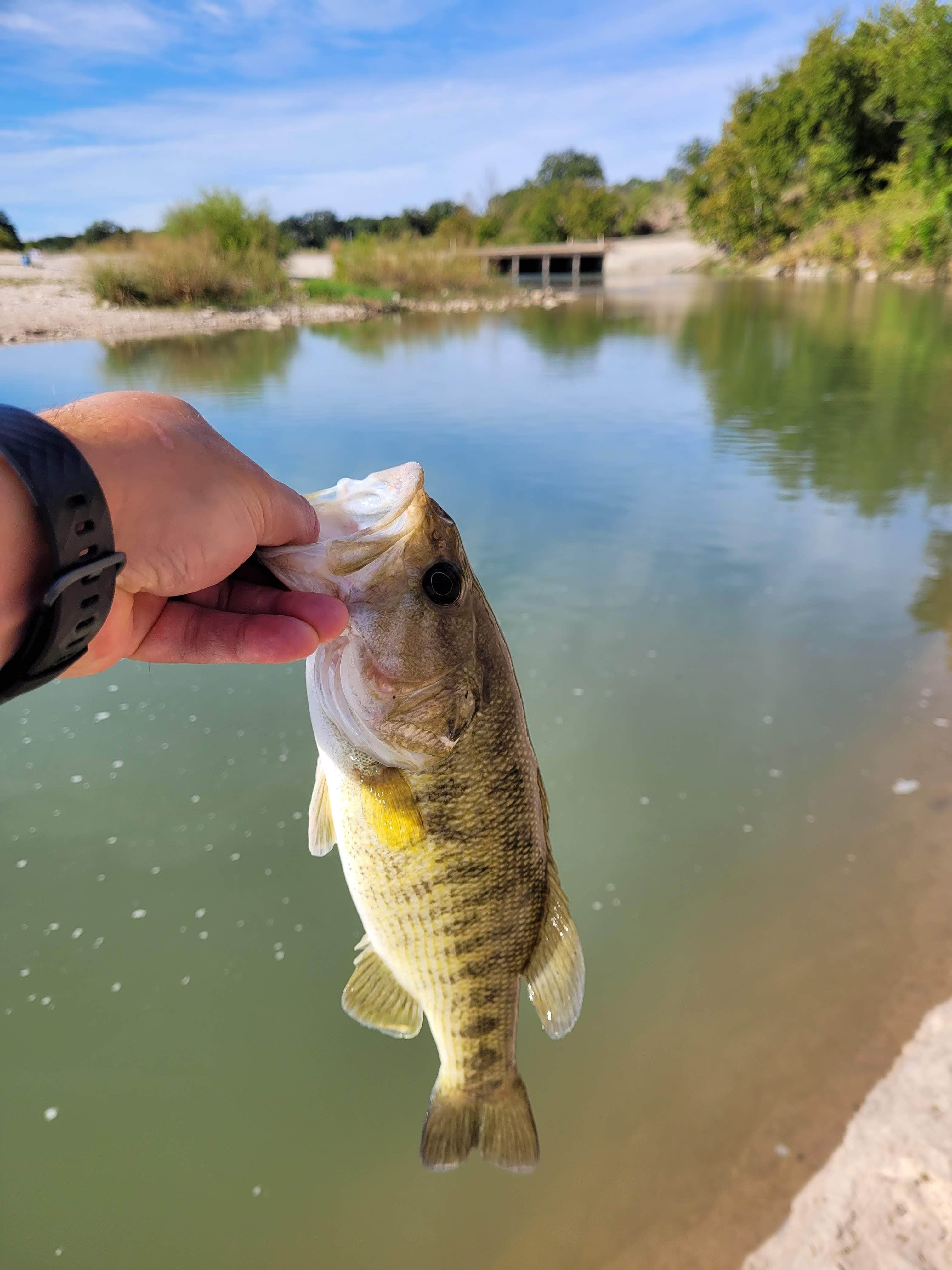 Camper-submitted photo at Dos Rios RV Park near Castell, TX