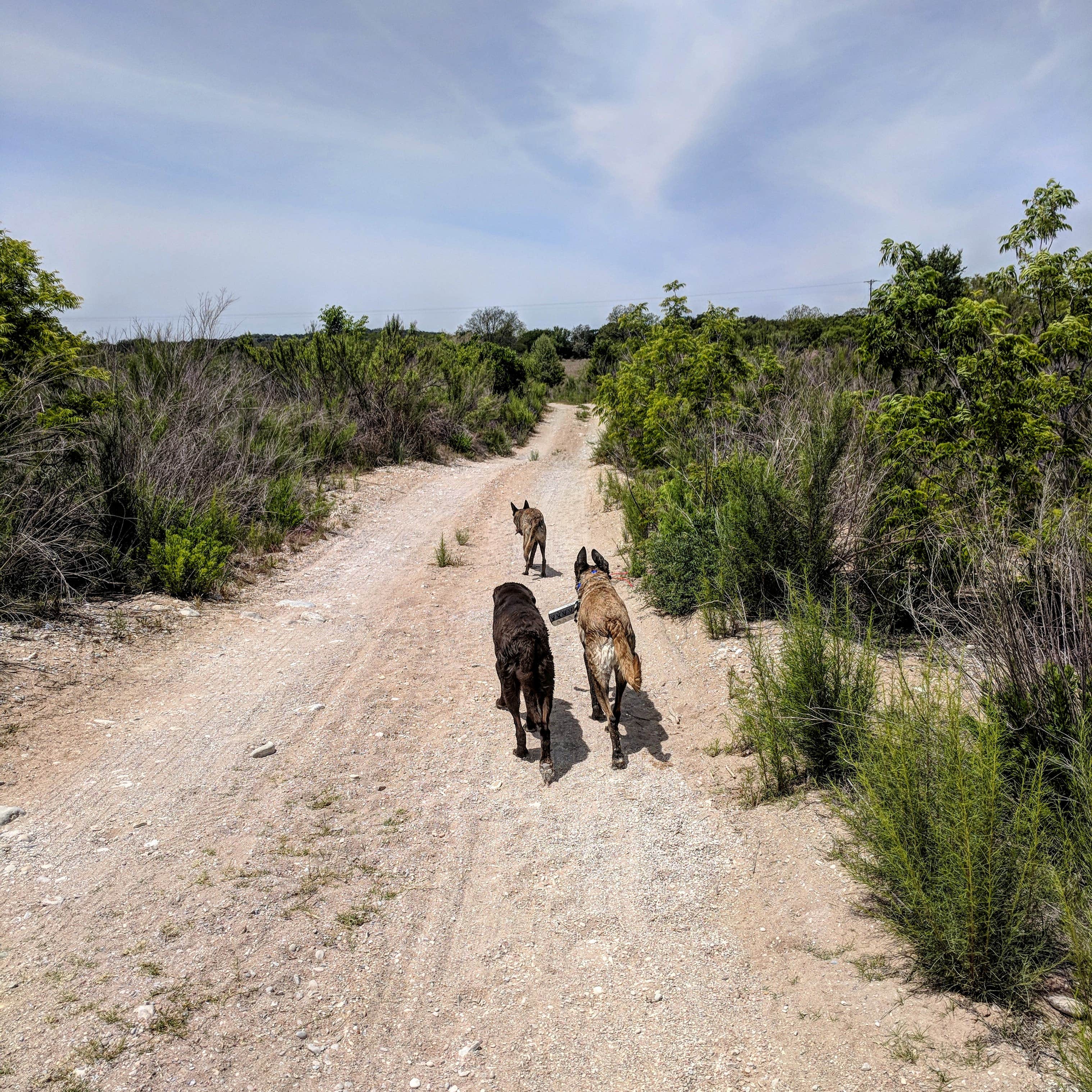 Camper-submitted photo at Dos Rios RV Park near Castell, TX