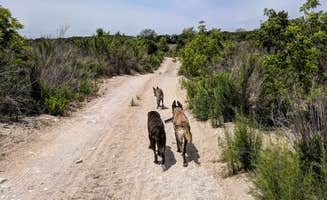 Colin S.'s photo of camping with pets at Dos Rios RV Park near Telegraph, TX