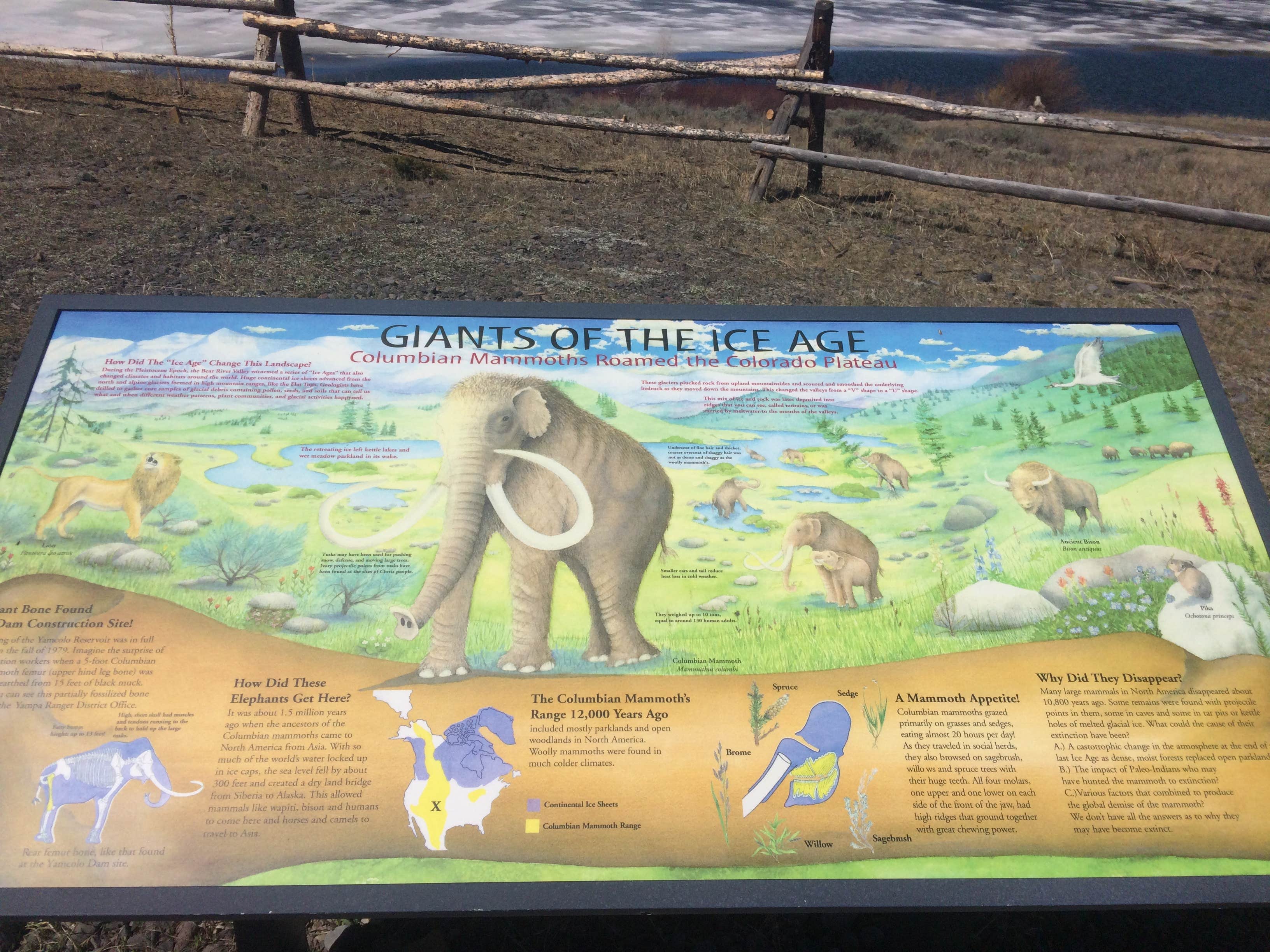 Camper submitted image from Bear River Designated Dispersed - 5