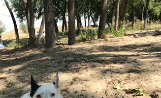 Sondra M.'s photo of camping with pets at Two Moon — Glendo State Park near Hartville, WY