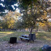 Review photo of Kelsey Creek Campground — Clear Lake State Park by haelie A., November 3, 2022