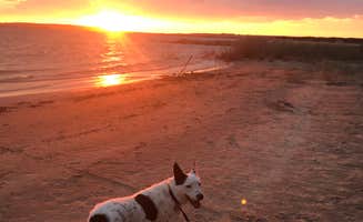 Sondra M.'s photo of camping with pets at Two Moon — Glendo State Park near Hartville, WY