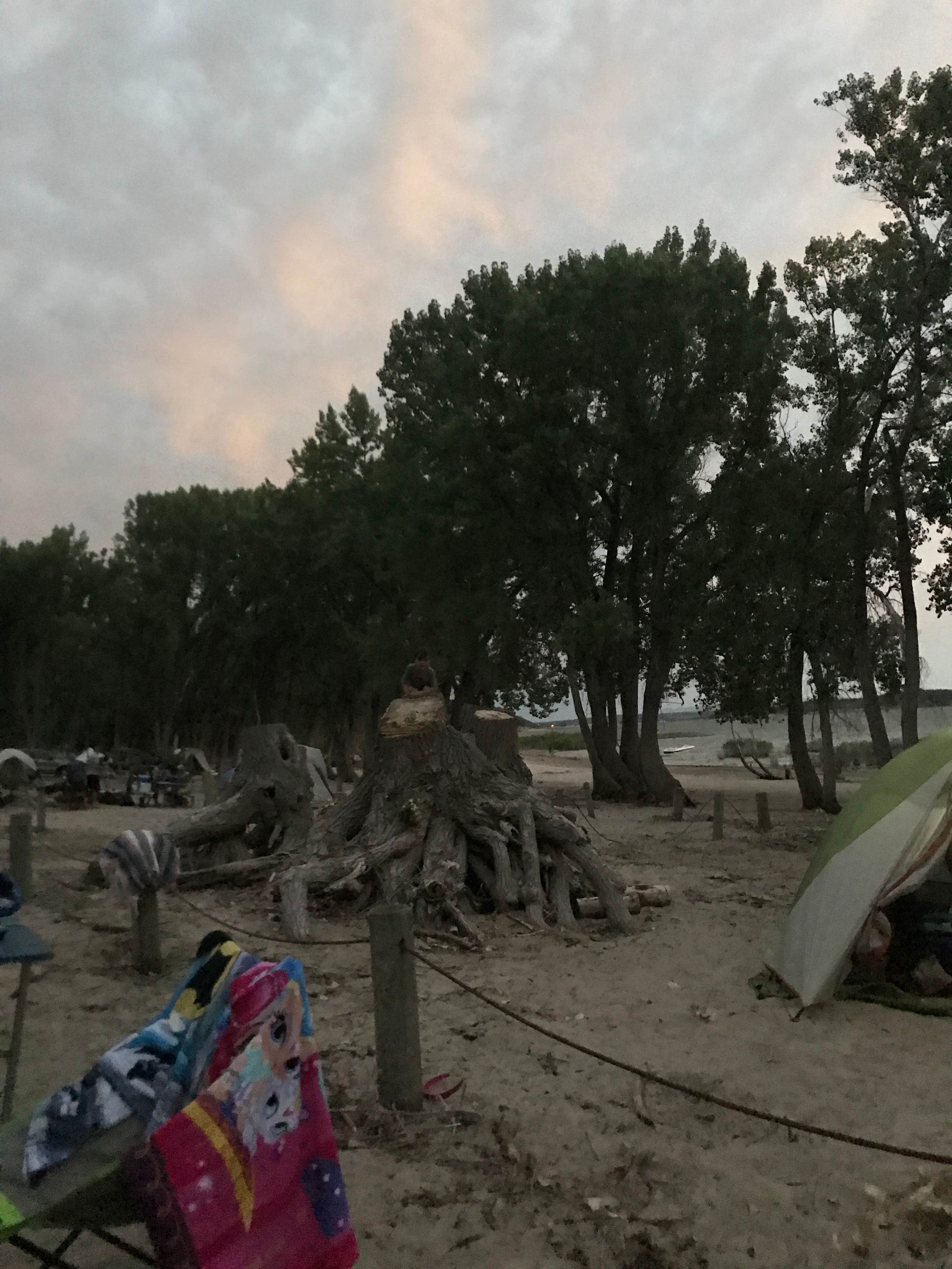 Camper submitted image from Two Moon — Glendo State Park - 4