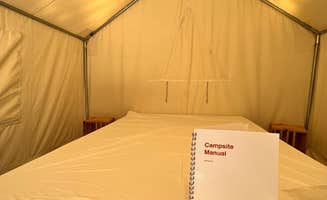 The Dyrt's photo at Tentrr State Park Site - Texas Brazos Bend State Park ___ Trailside E ___ Single Camp near Richwood, TX