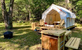 The Dyrt's photo at Tentrr State Park Site - Texas Brazos Bend State Park___ Trailside D ___ Single Camp near Fresno, TX