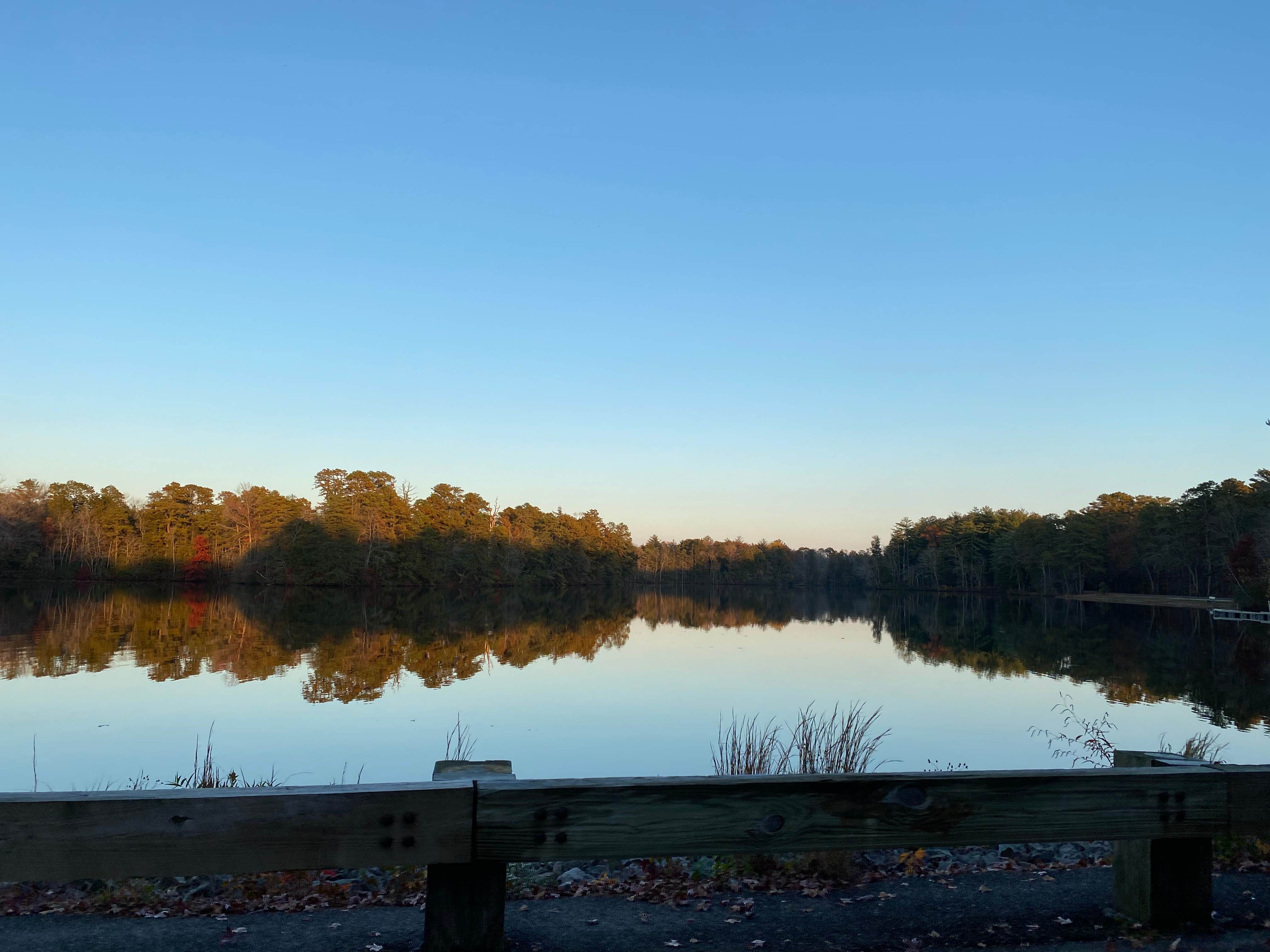 Belleplain State Forest Camping Woodbine Nj