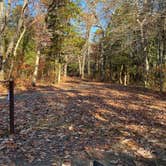 Review photo of Belleplain State Forest by Jonathan L., November 3, 2022