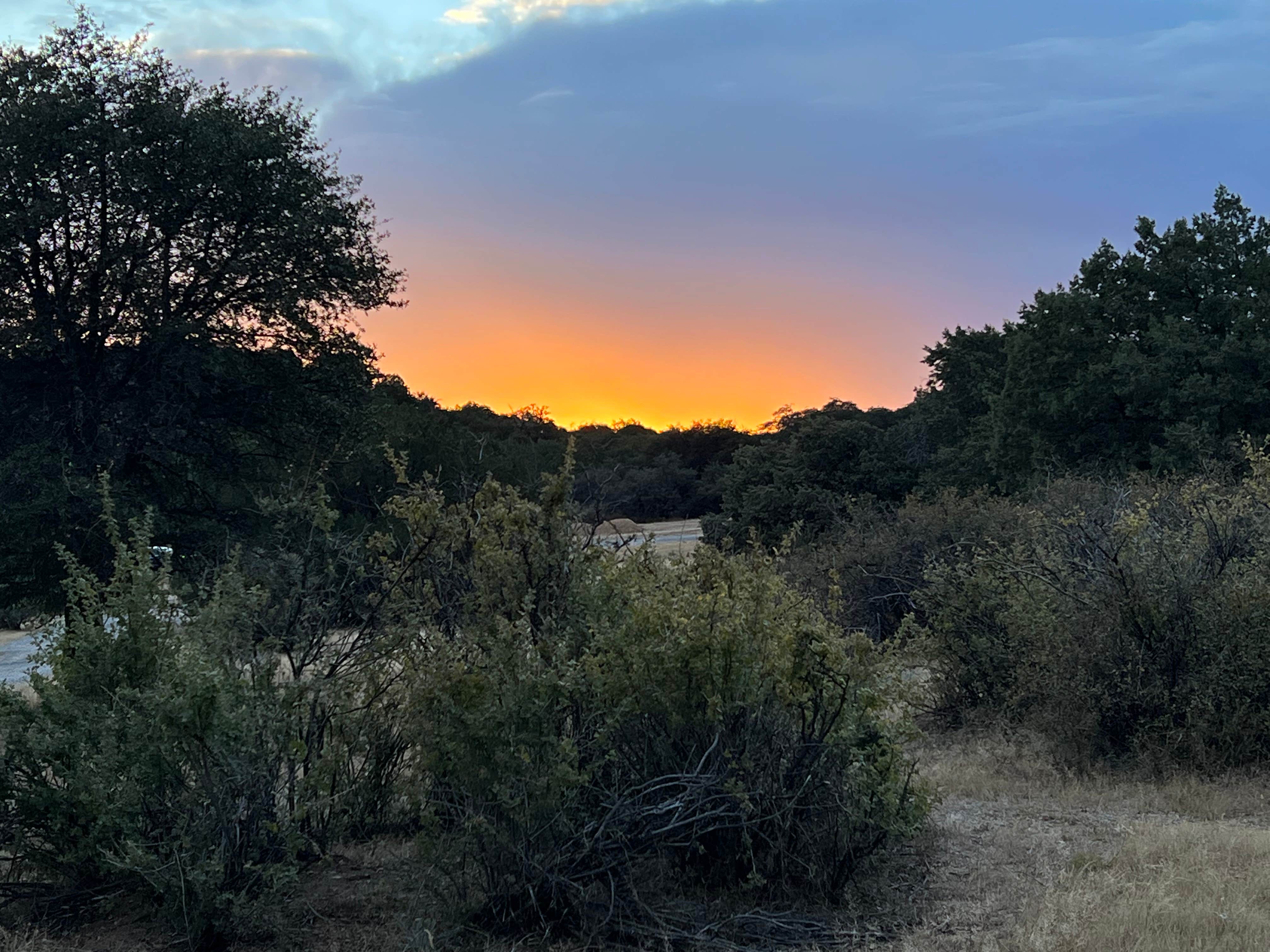 Angela T.'s photo of a dispersed camping area at Cattlemen Trail - Dispersed Camping near Playas, NM