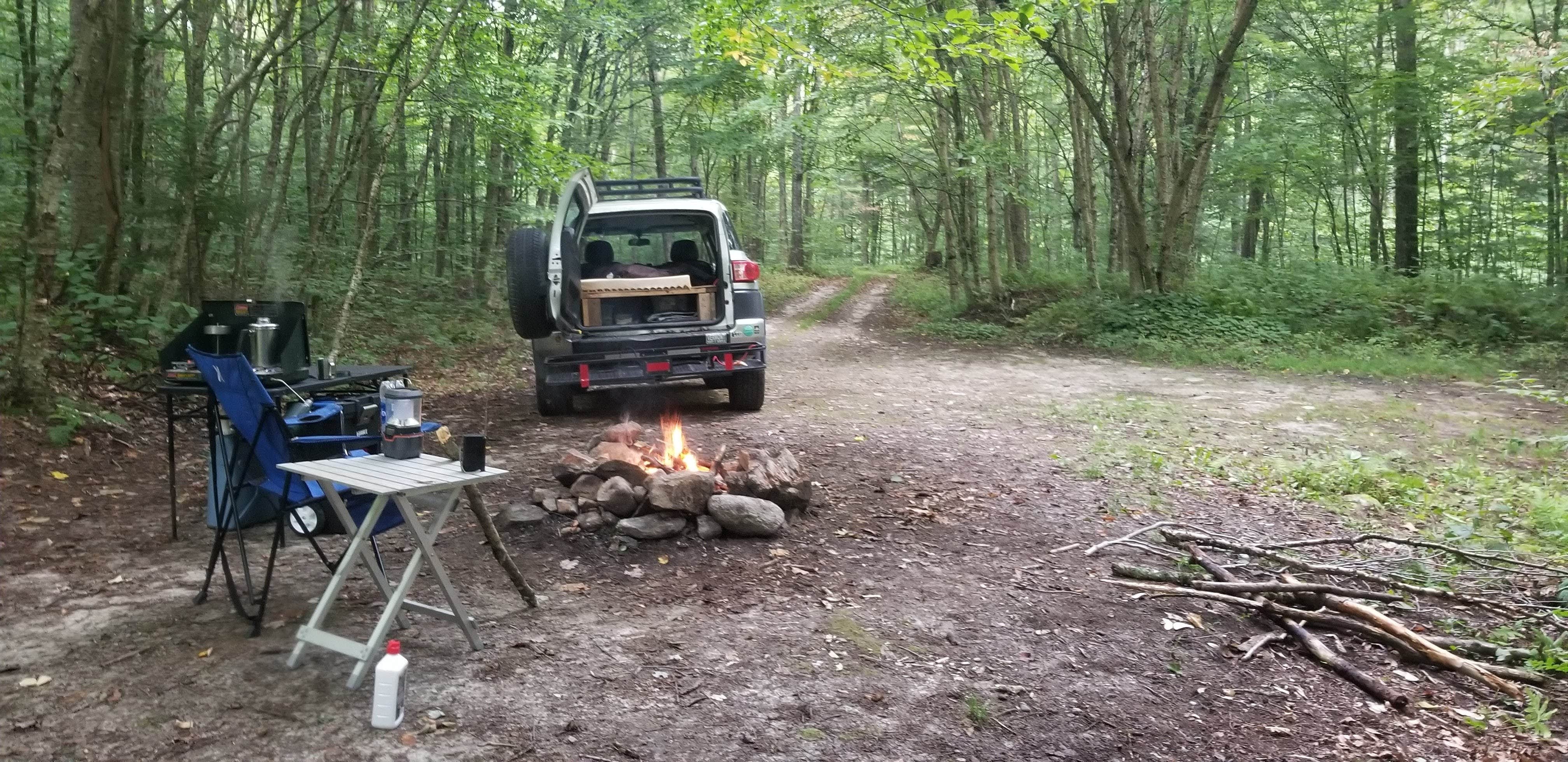 Camper submitted image from Chittenden Brook Campground - 4
