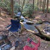Review photo of Vogel State Park Campground by Lauren M., November 3, 2022