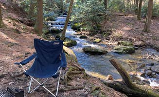 Lauren M.'s photo at Vogel State Park Campground near Chattahoochee-Oconee National Forests