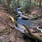 Review photo of Vogel State Park Campground by Lauren M., November 3, 2022