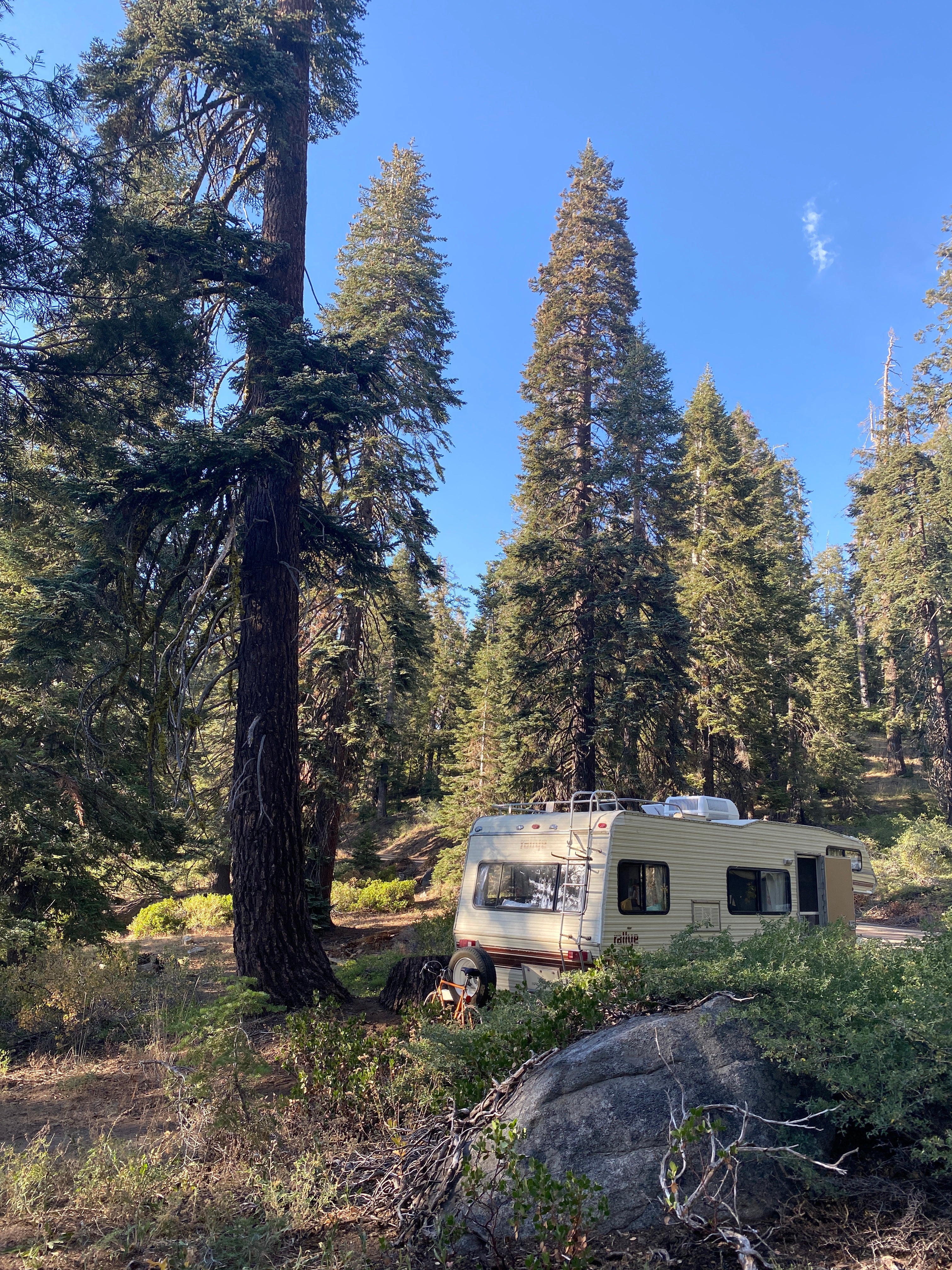 Camper submitted image from Western Big Meadow Road Camping Area - 5