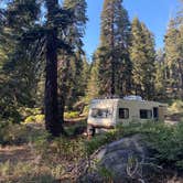 Review photo of Western Big Meadow Road Camping Area by therealquaid D., November 3, 2022