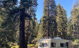 therealquaid D.'s photo at Western Big Meadow Road Camping Area near Sequoia and Kings Canyon National Parks