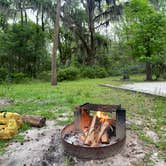 Review photo of Skidaway Island State Park Campground by Lauren M., November 3, 2022