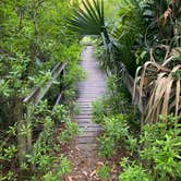 Review photo of Skidaway Island State Park Campground by Lauren M., November 3, 2022