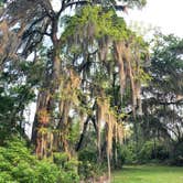 Review photo of Skidaway Island State Park Campground by Lauren M., November 3, 2022