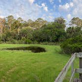 Review photo of Skidaway Island State Park Campground by Lauren M., November 3, 2022