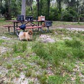 Review photo of Skidaway Island State Park Campground by Lauren M., November 3, 2022