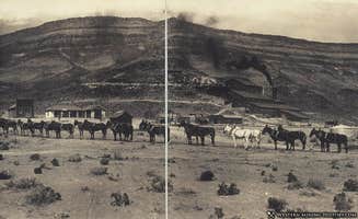 Jake C.'s photo of camping with a horse at Bonnie Claire Gold Mill Ghost Town Camping and Star Gazing in Nevada